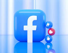 Facebook Followers - Page